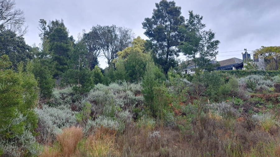 0 Bedroom Property for Sale in Caledon Western Cape